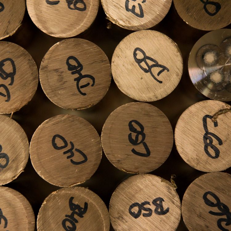 Zu sehen sind verschiedene beschriftete, selbst entworfene Proben.